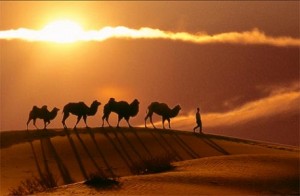 GreatSilkRoad